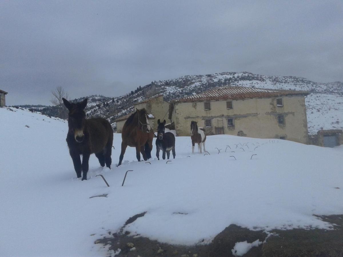 Casa Rural Chulilla Villarroya de los Pinares Esterno foto