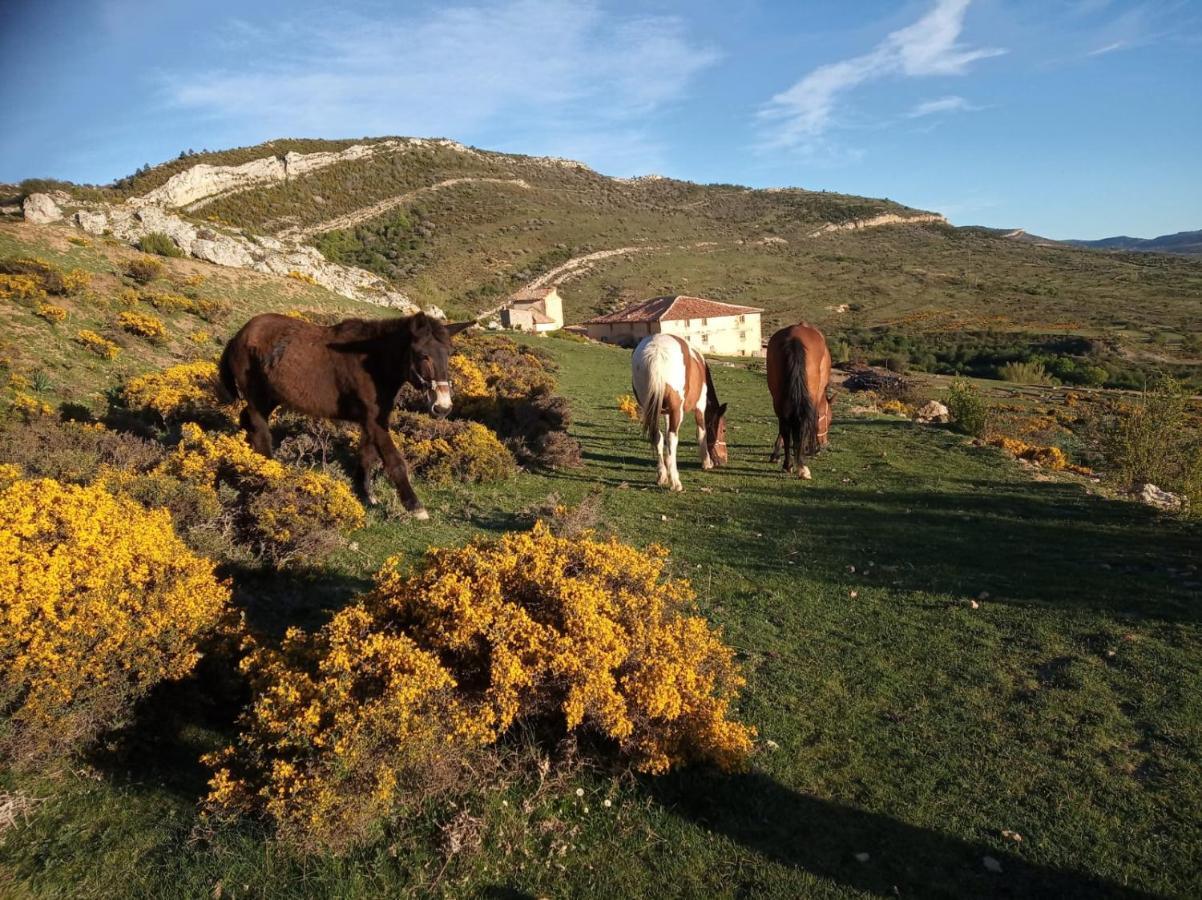 Casa Rural Chulilla Villarroya de los Pinares Esterno foto
